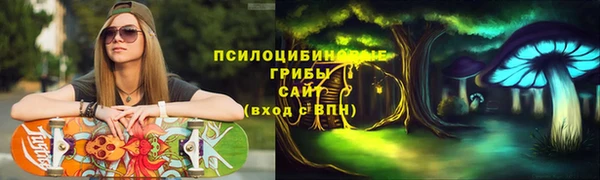 соль ск Михайлов