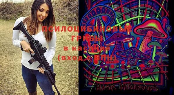 гидропоника Михайловка