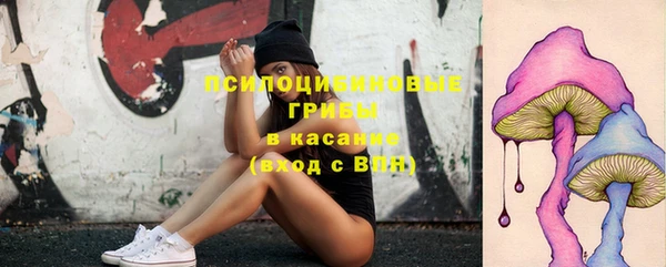 гашик Медвежьегорск