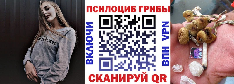 Купить закладки  Алексин  Псилоцибиновые грибы мухоморы 