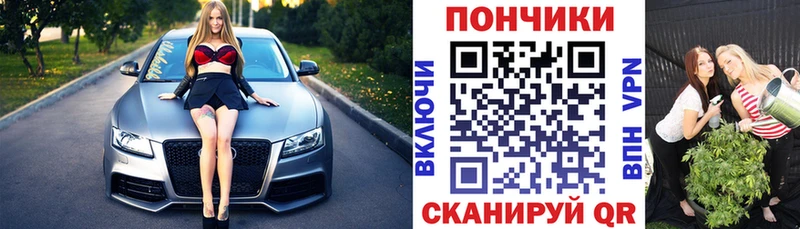 Купить где Алексин Каннабис сатива